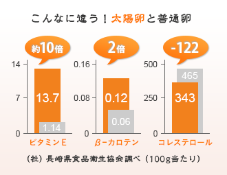 こんなに違う！太陽卵と普通卵