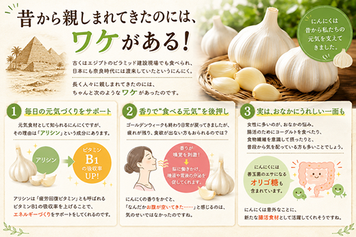 にんにくの健康効果ガイド