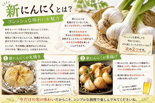 新にんにくの魅力とレシピ