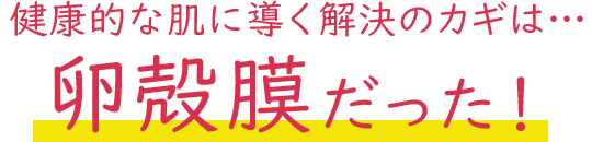 健康的な肌に導く解決のカギは卵殻膜だった