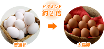 ビタミンE約２倍 普通卵と太陽卵