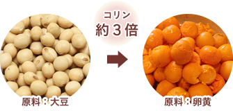 コリン約３倍 大豆と卵黄