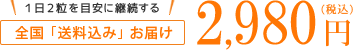 全国「送料込み」お届け 2,980円