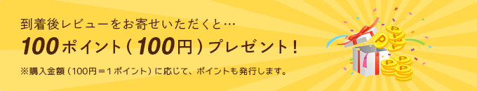 到着後レビューをお寄せいただくと…100ポイント（100円）プレゼント！