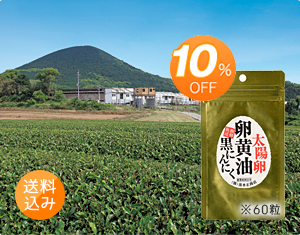 10％オフ！定期購入コース