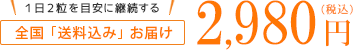 全国送料「無料」お届け 2,980円