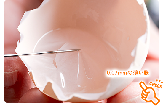 卵殻膜は卵の殻の内側にある薄い膜のこと