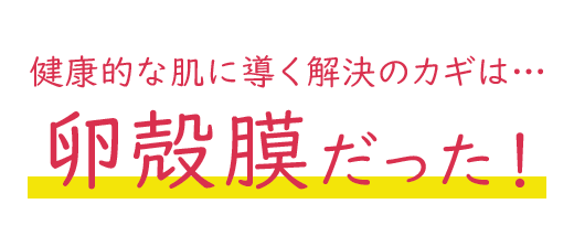 健康的な肌に導く解決のカギは卵殻膜だった