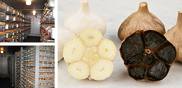 青森生まれの熟成発酵黒にんにく