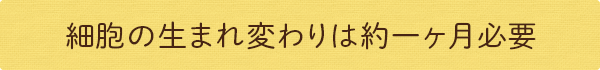 細胞の生まれ変わりは約一ヶ月必要