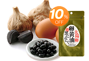 初めての方に！実感コース