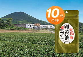 10％オフ！定期購入コース