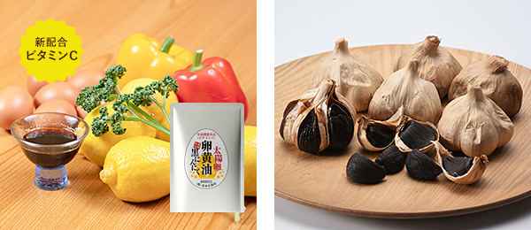 機能性成分入り黒にんにく卵黄油