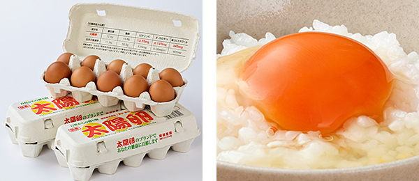 九州産自然卵「太陽卵」10個入り2パック