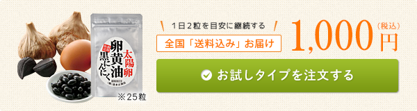お試しタイプを注文する