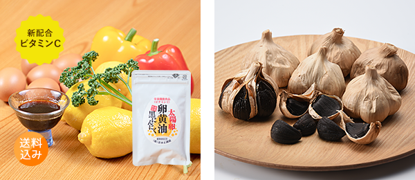 今回のみ！通常タイプ商品