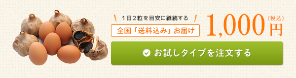 お試しタイプを注文する