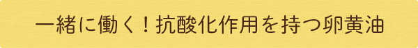 一緒に働く!抗酸化作用を持つ卵黄油